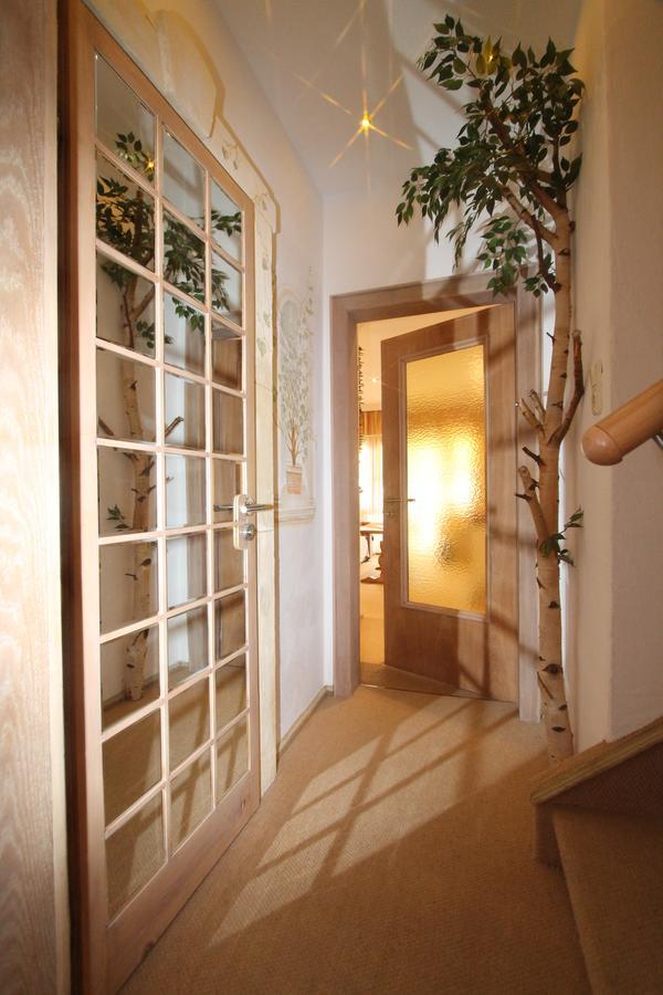 فندق Haus Sonnenschein غرينو المظهر الخارجي الصورة